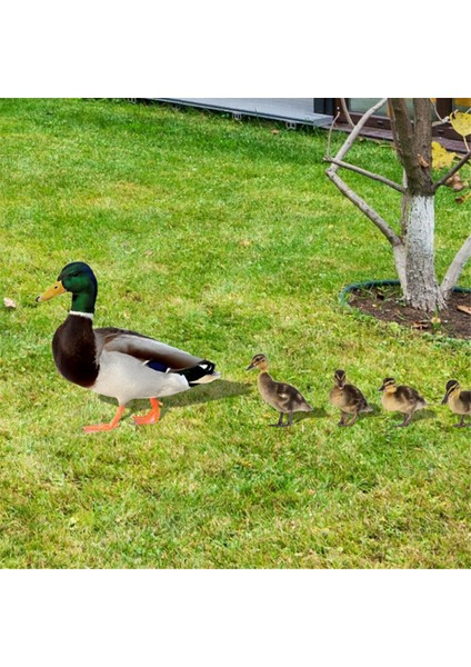 Bahçe Dekorasyonu Akrilik Ördek Bahçesi Komik Bahar Dekorasyonu Açık Ördek Süslemesi Hayvan Bahçesi Dekorasyonları (Yurt Dışından) indirimleri