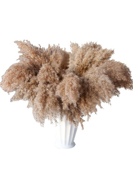 30 Sap Kurutulmuş Pampas Çim, Yabani Pampas Çim Kabarık Pampas Çiçek, 17 Inç Dökme Pampas Çim Dekor Çiçekleri Kurutulmuş Bitkiler (Yurt Dışından)