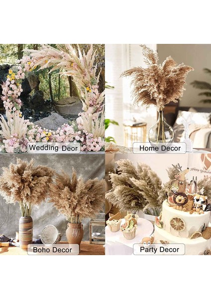 30 Sap Kurutulmuş Pampas Çim, Yabani Pampas Çim Kabarık Pampas Çiçek, 17 Inç Dökme Pampas Çim Dekor Çiçekleri Kurutulmuş Bitkiler (Yurt Dışından) indirimleri