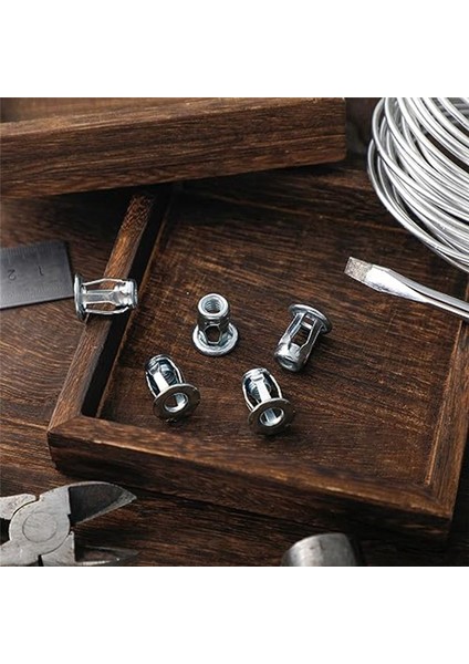 50 Pcs Jack Flanş Kısa Fındık Petal Fındık Genişleme Fındık 4X20 Petal Fındık Içi Boş Duvar Demir Cilt Hattı (Yurt Dışından) fırsatları