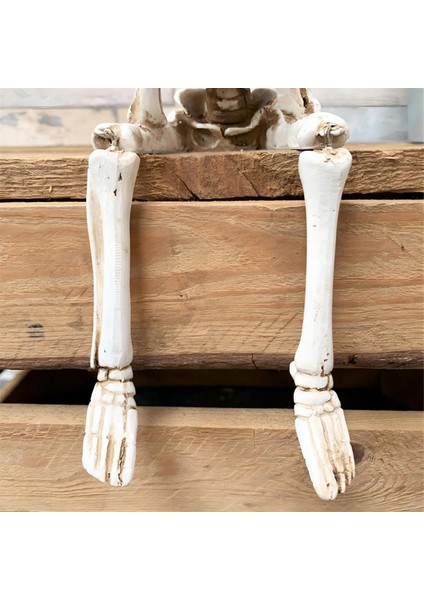 3pcs Cadılar Bayramı Hayalet Kafatası Reçine Dekorasyon Ürpertici Pervane Cadılar Bayramı Dekorasyon Kapalı Açık Korku Evi Destek (Yurt Dışından) modelleri