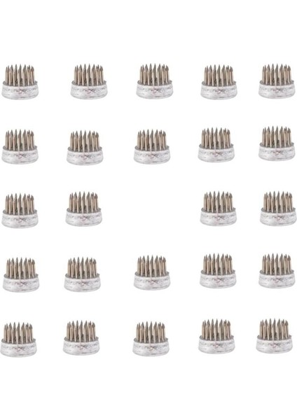 Düzenlemeler Için Çiçek Kurbağaları Tutucu Çiçek Kurbağı Paslanmaz Çelik Pim Kurbağa Sınıf, Ev, Ofis (0,9 Inç 24 Pc) (Yurt Dışından)