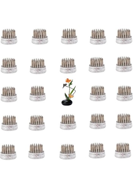 Düzenlemeler Için Çiçek Kurbağaları Tutucu Çiçek Kurbağı Paslanmaz Çelik Pim Kurbağa Sınıf, Ev, Ofis (0,9 Inç 24 Pc) (Yurt Dışından) fiyatları