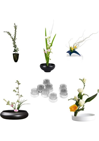 Düzenlemeler Için Çiçek Kurbağaları Tutucu Çiçek Kurbağı Paslanmaz Çelik Pim Kurbağa Sınıf, Ev, Ofis (0,9 Inç 24 Pc) (Yurt Dışından) modelleri