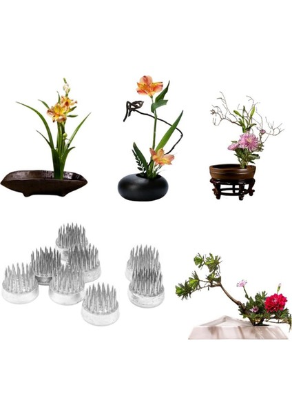 Düzenlemeler Için Çiçek Kurbağaları Tutucu Çiçek Kurbağı Paslanmaz Çelik Pim Kurbağa Sınıf, Ev, Ofis (0,9 Inç 24 Pc) (Yurt Dışından) indirimleri