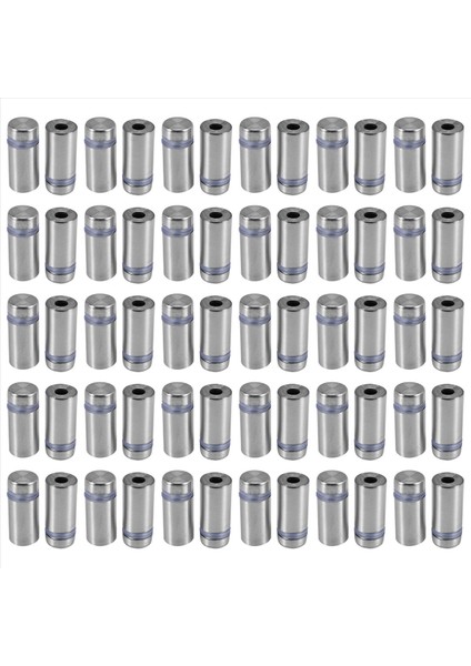 60 Pcs Işaret Standoff Vidaları Reklam Vidaları Paslanmaz Çelik Duvar Standoff Montajlar Cam Sanat Eseri Için Cam Akrilik Çivi (Yurt Dışından) modelleri