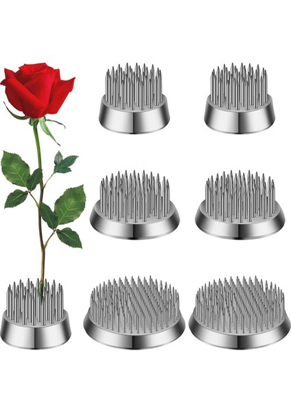 6 Pcs 3 Boyut Paslanmaz Çiçek Kurbağaları Kenzan Çiçek Tutucu Yuvarlak Çiçek Düzenleyicileri Gümüş Kenzan (0.9in, 1.34IN, 2.36IN) (Yurt Dışından) fiyatları