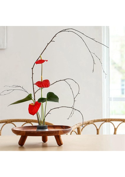 6 Pcs 3 Boyut Paslanmaz Çiçek Kurbağaları Kenzan Çiçek Tutucu Yuvarlak Çiçek Düzenleyicileri Gümüş Kenzan (0.9in, 1.34IN, 2.36IN) (Yurt Dışından) modelleri