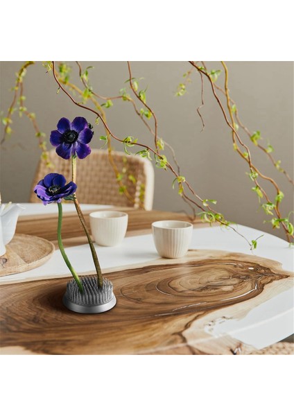 6 Pcs 3 Boyut Paslanmaz Çiçek Kurbağaları Kenzan Çiçek Tutucu Yuvarlak Çiçek Düzenleyicileri Gümüş Kenzan (0.9in, 1.34IN, 2.36IN) (Yurt Dışından) indirimleri