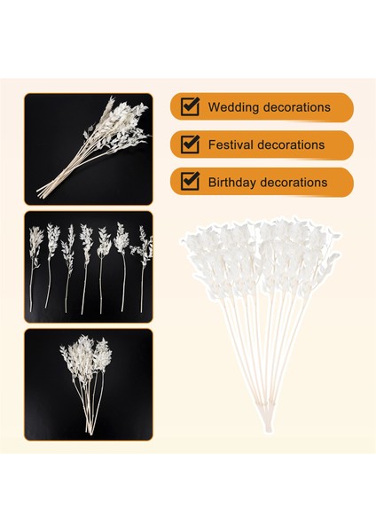 45CM Kurutulmuş Sonsuza Kadar Korunmuş Rusus Çiçekler Diy Çiçek Dekorasyon Düğün Ev Dekoru Için Kuru Çiçek Buket (Yurt Dışından) indirimleri