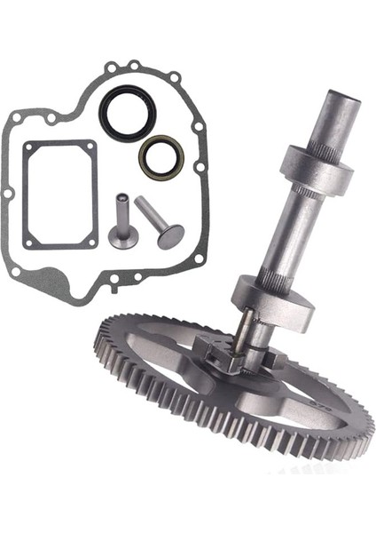 Briggs &amp; Stratton 793880 791942 795102 Eksantrik Mili Dişli Eksantrik Mili Conta Kiti (Yurt Dışından)