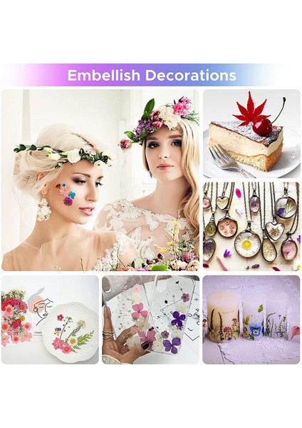 144PCS Reçine Için Doğal Kurutulmuş Pres Çiçekler, Kuru Çiçek Dökme Doğal Otlar Mum, Epoksi Reçine, Diy Sanat El Sanatları Için (Yurt Dışından) fırsatları