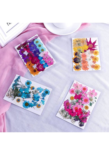 144PCS Reçine Için Doğal Kurutulmuş Pres Çiçekler, Kuru Çiçek Dökme Doğal Otlar Mum, Epoksi Reçine, Diy Sanat El Sanatları Için (Yurt Dışından) indirimleri