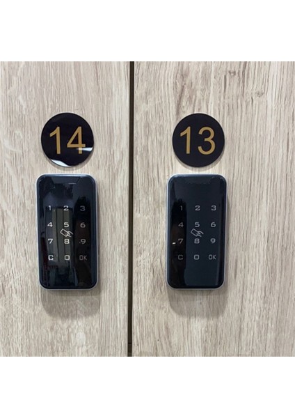 Dolap Kilidi, Akıllı Dijital Kimlik Şifre Anahtarsız Kilit Touch Tuş Takımı Dolap Dosya Kapı Çekmeceleri Kilit (Yurt Dışından) indirimleri