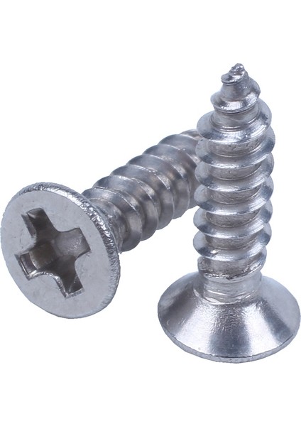 100X Paslanmaz Çelik Düz Kafa Phillips Kendi Kendine Dokunan Vida 12X3MM Gümüş (Yurt Dışından) modelleri