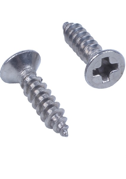 100X Paslanmaz Çelik Düz Kafa Phillips Kendi Kendine Dokunan Vida 12X3MM Gümüş (Yurt Dışından) fırsatları