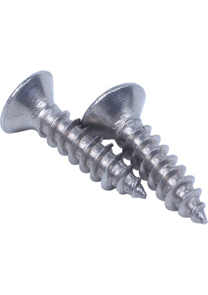 100X Paslanmaz Çelik Düz Kafa Phillips Kendi Kendine Dokunan Vida 12X3MM Gümüş (Yurt Dışından) indirimleri