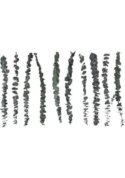 10 Paket Doğal Kurutulmuş Okaliptüs Demeti, Korunmuş Taze Okaliptüs Dalları Çiçek Aranjmanları Için Düğün Ev Dekor (Yurt Dışından)