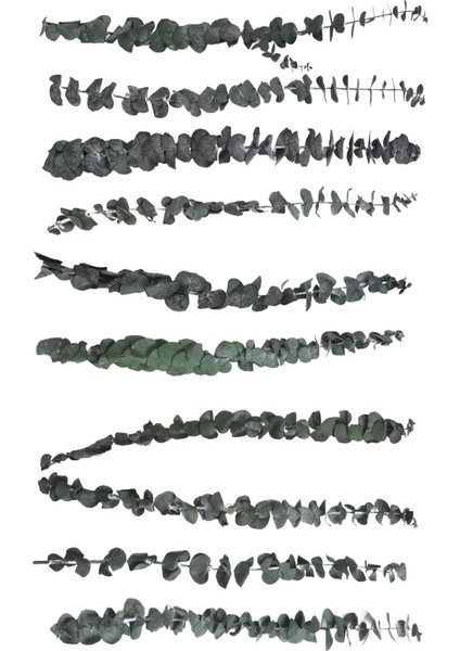 10 Paket Doğal Kurutulmuş Okaliptüs Demeti, Korunmuş Taze Okaliptüs Dalları Çiçek Aranjmanları Için Düğün Ev Dekor (Yurt Dışından) fiyatları