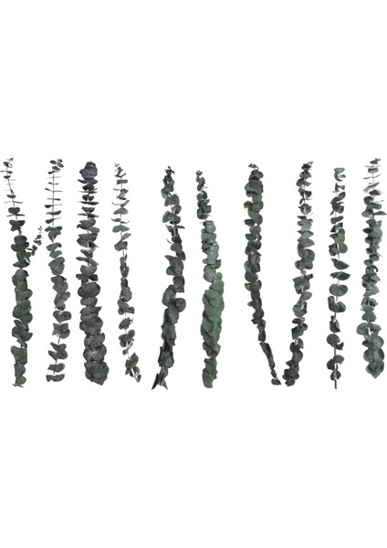 10 Paket Doğal Kurutulmuş Okaliptüs Demeti, Korunmuş Taze Okaliptüs Dalları Çiçek Aranjmanları Için Düğün Ev Dekor (Yurt Dışından) modelleri