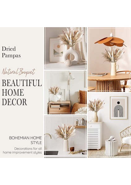 85PCSPAMPAS Çim Dekoratif Vazo Ev Tasarım Düzenlemeleri, Kurutulmuş Doğal Pampas Çim Bitkileri Kabarık Kurutulmuş Çiçekler 43 cm (Yurt Dışından) fiyatları