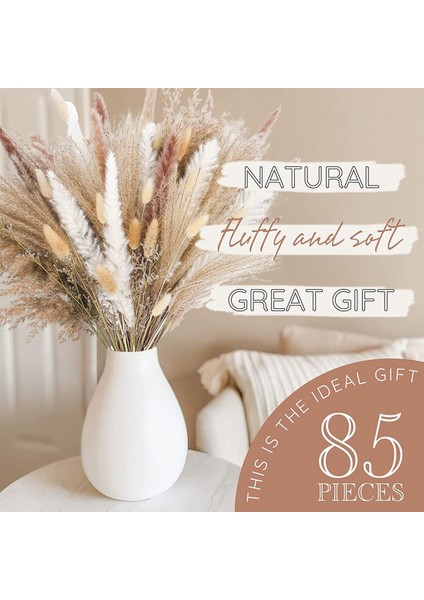 85PCSPAMPAS Çim Dekoratif Vazo Ev Tasarım Düzenlemeleri, Kurutulmuş Doğal Pampas Çim Bitkileri Kabarık Kurutulmuş Çiçekler 43 cm (Yurt Dışından) fırsatları