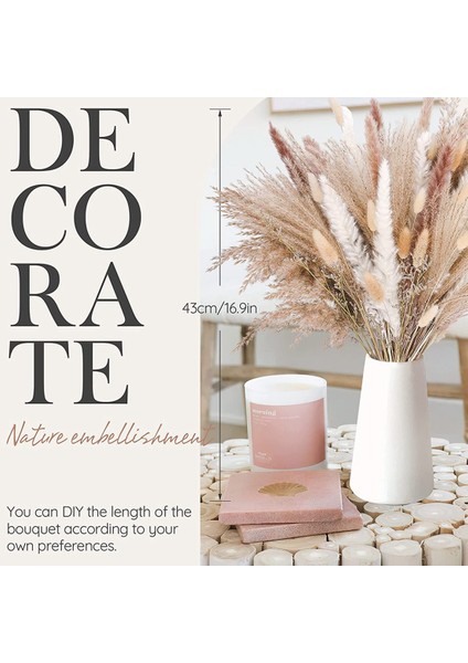 85PCSPAMPAS Çim Dekoratif Vazo Ev Tasarım Düzenlemeleri, Kurutulmuş Doğal Pampas Çim Bitkileri Kabarık Kurutulmuş Çiçekler 43 cm (Yurt Dışından) indirimleri