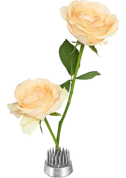 12PCS Çiçek Kurbağası, Yuvarlak Paslanmaz Çiçek Kurbağaları, Çiçek Aransisi Sabit Alet Pim Kurbağası Için Çiçek Aranjman Vazo (Yurt Dışından) indirimleri