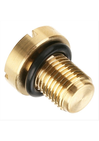 15PCS Radyatör Taşma Soğutucu Genişleme Tank Bleeder Vidası 17111712788 Bmw E36 E39 E46 Vb. (Yurt Dışından) fırsatları