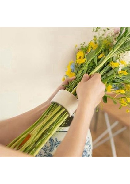 2pcs Spiral Ikebana Stem Tutucu, Vazo Için Yeniden Kullanılabilir Çiçek Şebekesi, Spiral Dıy Buket Twister Çiçek Düzenlemesi Tutucu, A (Yurt Dışından) indirimleri