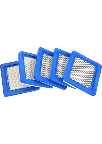 Briggs &amp; Stratton Için Çim Biçme Filtre Aksesuarları (Yurt Dışından)