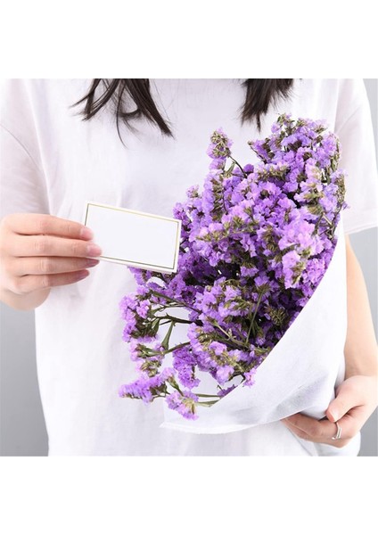 Place Cards 120 Düğün, Ziyafet, Masa Kartları ve Isim Kartları Için Uygun Altın Folyo Sınırları Olan Küçük Çadır Kartları (Yurt Dışından) indirimleri