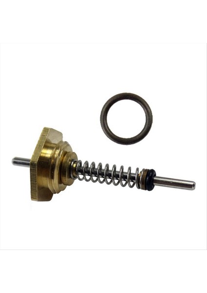 10 Pcs Gaz Kazan Su Bağlantısı Yüksük 10 mm Uzunluk Kalite Su Isıtıcı Ev Cihazı (Yurt Dışından)