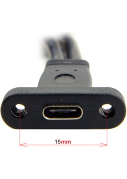 Tek Bağlantı Noktası USB 3.1 Tip C Usb-C Dişi-Usb 3.0 Anakart 19PIN Başlık Kablosu 50CM (Yurt Dışından) fiyatları