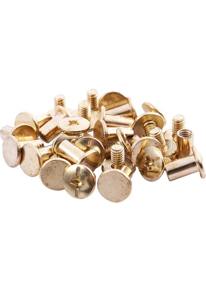 15 Adet 5MMX8MM Pirinç Kaplama Bağlayıcı Chicago Vidası Para Kemeri (Yurt Dışından)