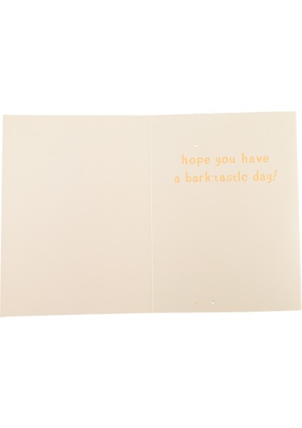 Müzik Sonsuz Ses Kartı Komik Köpek Square Tebrik Kartı Kağıt Köpek Müzik Tebrik Kartı (Yurt Dışından) fırsatları