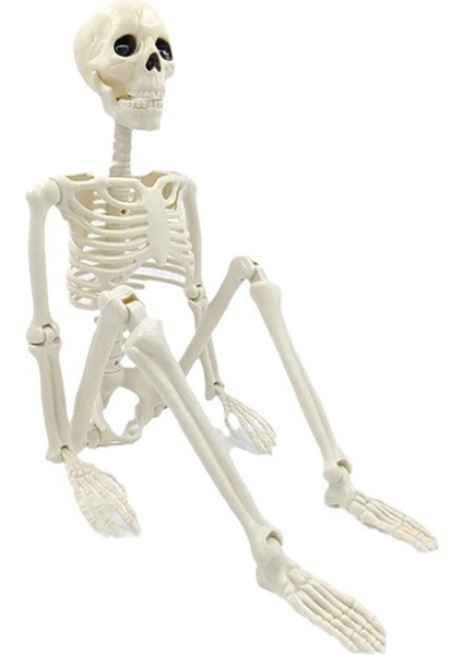 Cadılar Bayramı Iskeleti Dekorasyonu, Hareketli Eklemlerle Olumlu Tam Vücut Iskeleti, Bahçe, Bahçe, Çim, Veranda Için Ürkütücü Pervane (Yurt Dışından)
