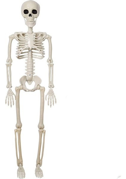 Cadılar Bayramı Iskeleti Dekorasyonu, Hareketli Eklemlerle Olumlu Tam Vücut Iskeleti, Bahçe, Bahçe, Çim, Veranda Için Ürkütücü Pervane (Yurt Dışından) fiyatları