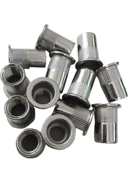 30PCS M8 Perçin Fındık Paslanmaz Çelik Dişli Perçin E Fıstığı M8-1.25MM (Yurt Dışından)