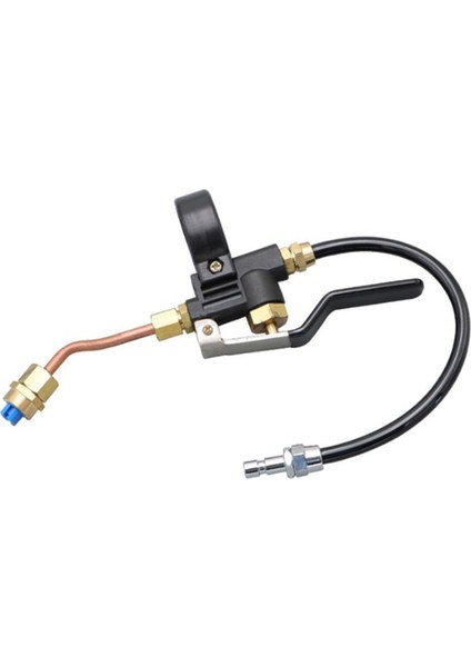 Yüksek Sıcaklıklı Buhar Temizleyici Soğuk Su Anahtarı Araba Çamaşır Makinesi Halı Kanepe Temizleyici Çıkarıcı Halı Özü (Yurt Dışından)