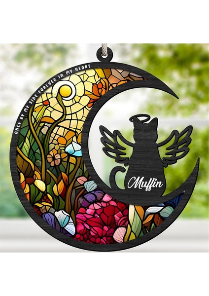 Pet Akrilik Diski Ay&#39;dan Görüntülenen, Sundurma Süslemeleri Pet Sempati Hediyesi Kaybı Anmak Için (Yurt Dışından) fiyatları