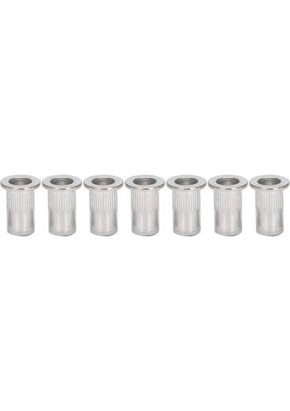 M5 Alüminyum Düz Kafa Perçin Somun Ekleme Somunları Gümüş Ton 20PCS (Yurt Dışından) fırsatları