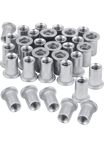 Fındık 100PCS 1/4IN-20UNC Paslanmaz Çelik 304 Finish Düz Head Rivnut Dişli Ekleme Fındık Tutuklu Gövde Dikey Perçinler Fındık (Yurt Dışından)
