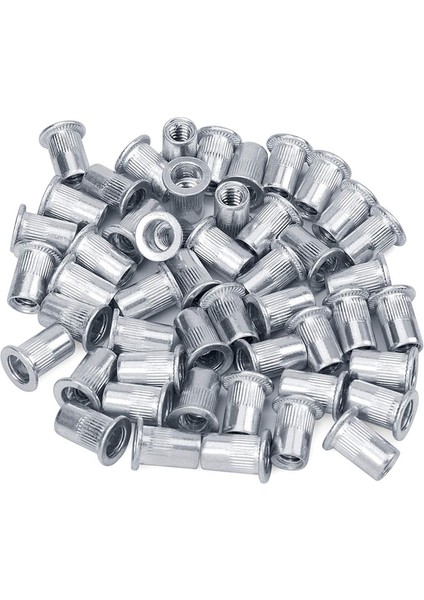 Fındık 100PCS 1/4IN-20UNC Paslanmaz Çelik 304 Finish Düz Head Rivnut Dişli Ekleme Fındık Tutuklu Gövde Dikey Perçinler Fındık (Yurt Dışından) modelleri