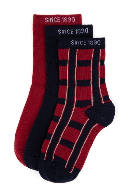 Erkek Çocuk Bordo Çorap (Soket) 50318057-VR014