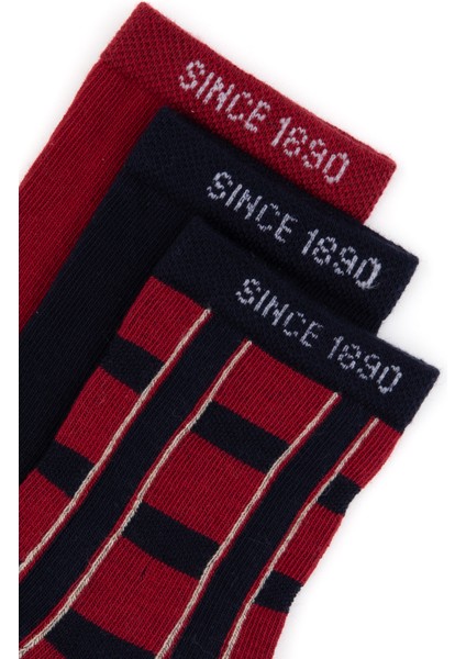 Erkek Çocuk Bordo Çorap (Soket) 50318057-VR014 fiyatları