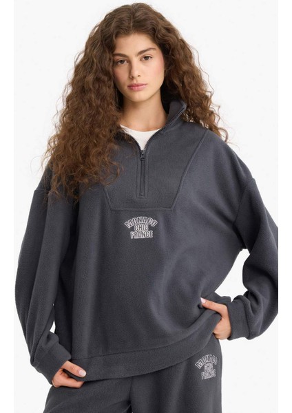 Oversize Geniş Kalıp Dik Yaka Fermuarlı Baskılı Polar Sweatshirt Y2649AZ25WN