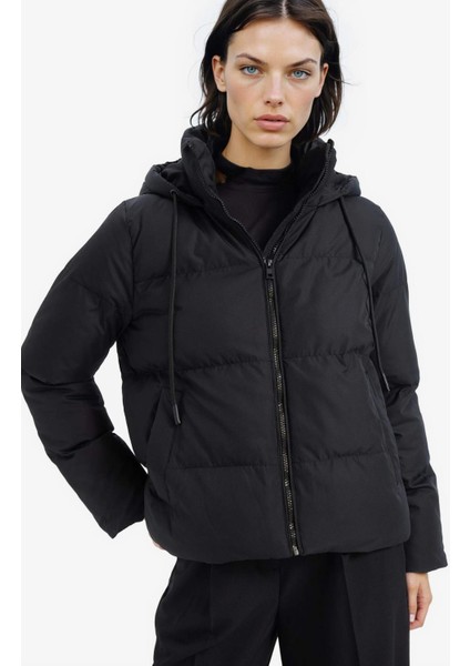 Standart Fit Kapüşonlu Fermuarlı Cepli Şişme Mont E9592AX25SP