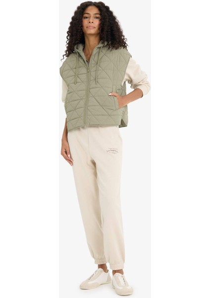 Relax Fit Kapüşonlu Kapitoneli Fermuarlı Yelek E8588AX25AU