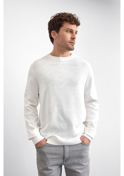 Regular Fit Bisiklet Yaka Işleme Detaylı Triko Kazak Erkek Kazak B35W40042 101